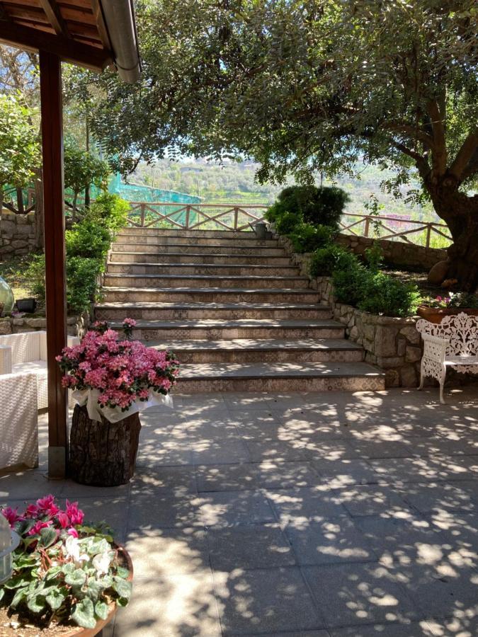 ויקו אקוונסה Agriturismo Nonno Luigino מראה חיצוני תמונה