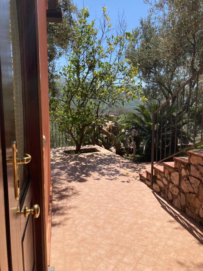 ויקו אקוונסה Agriturismo Nonno Luigino מראה חיצוני תמונה