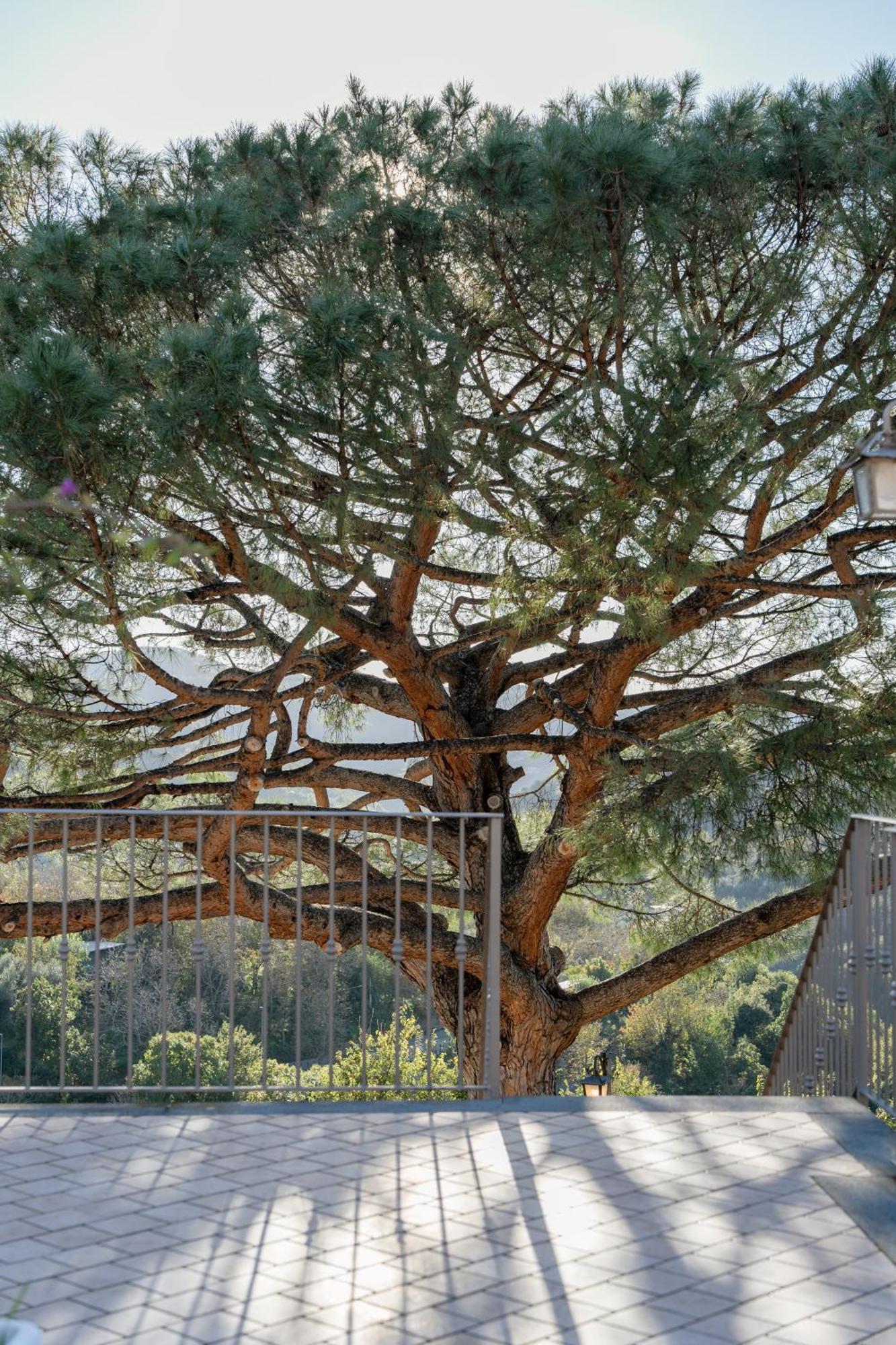 ויקו אקוונסה Agriturismo Nonno Luigino מראה חיצוני תמונה