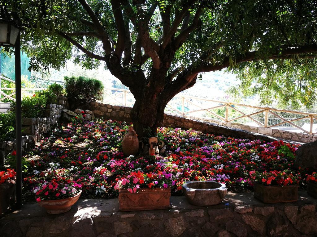 ויקו אקוונסה Agriturismo Nonno Luigino מראה חיצוני תמונה